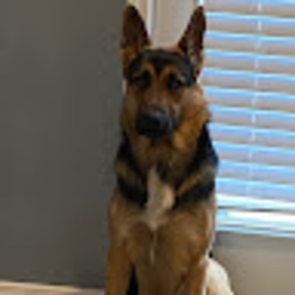 peytonsmom7